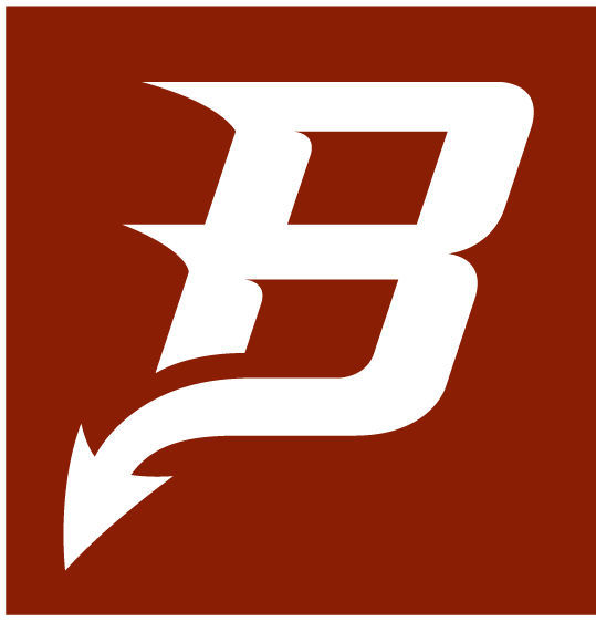 bradford logos